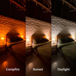 files/Colors_6b685633-9ef8-4897-8896-851346a32c7b_960x_crop_center_jpg.webp
