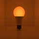 The Healthy Home Circadian Lightbulb