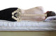 Swiss Dream Bed
